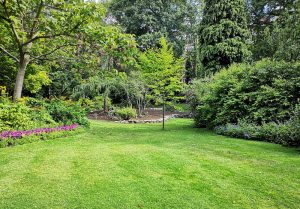 Optimiser l'expérience du jardin à Cressin-Rochefort